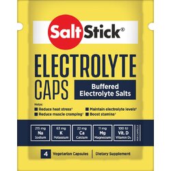 SaltStick Electrolyte Salts Capsules - 100