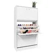 Modern 3-Drawer Shoe Cabinet Shoe Organizer Rack