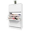 Modern 3-Drawer Shoe Cabinet Shoe Organizer Rack