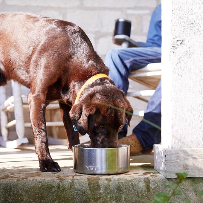 YETI Boomer 8 Stainless Steel, Non-Slip Dog Bowl, Stainless Steel