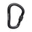 Black Diamond RockLock Screwgate Carabiner - Black