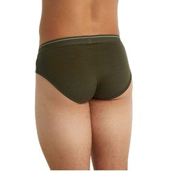 Icebreaker Merino Anatomica Mens Briefs - Loden - L