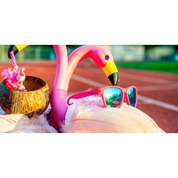 Goodr The OG Running Sunglasses - Flamingos on a Booze Cruise